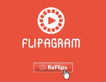 100 Flipagram Reflips kaufen
