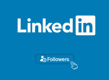 100 LinkedIn Company Followers kaufen