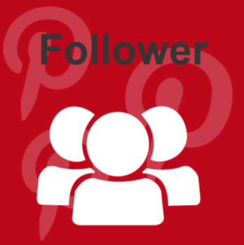 100 Pinterest Followers kaufen