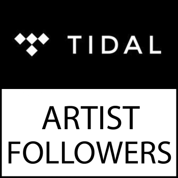 100 Tidal Artist Followers kaufen