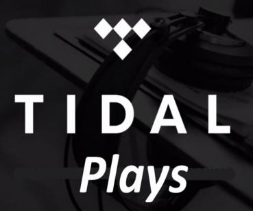 500 Tidal Plays kaufen