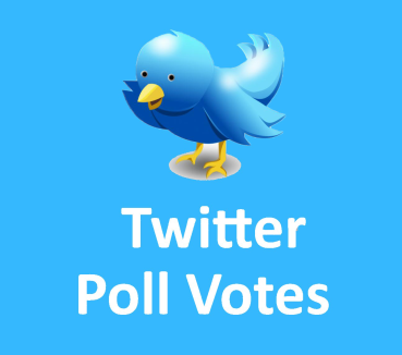 100 Twitter Poll Votes kaufen