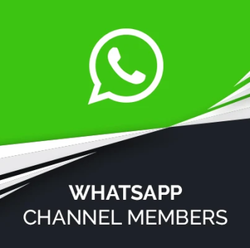 10 WhatsApp Channel Members kaufen