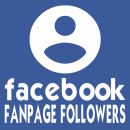 300 Facebook Fan Page Followers for you