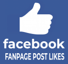 100 Facebook Fanpage Post/Photo/Video Likes für Dich
