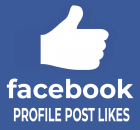 100 Facebook Profile Post/Photo/Video Likes für Dich
