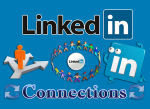 100 LinkedIn Connections / Verbindungen für Dich