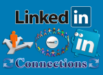 Buy 100 LinkedIn Connections