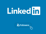 100 LinkedIn Company Followers for you