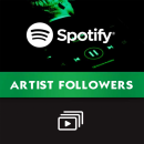 300 Spotify Artist Followers for you