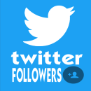 500 Twitter Followers / Abonnenten für Dich