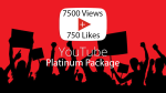YouTube Platinum Package for you