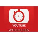 200 YouTube Watch Time Hours für Dich