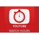 200 YouTube Watch Time Hours kaufen